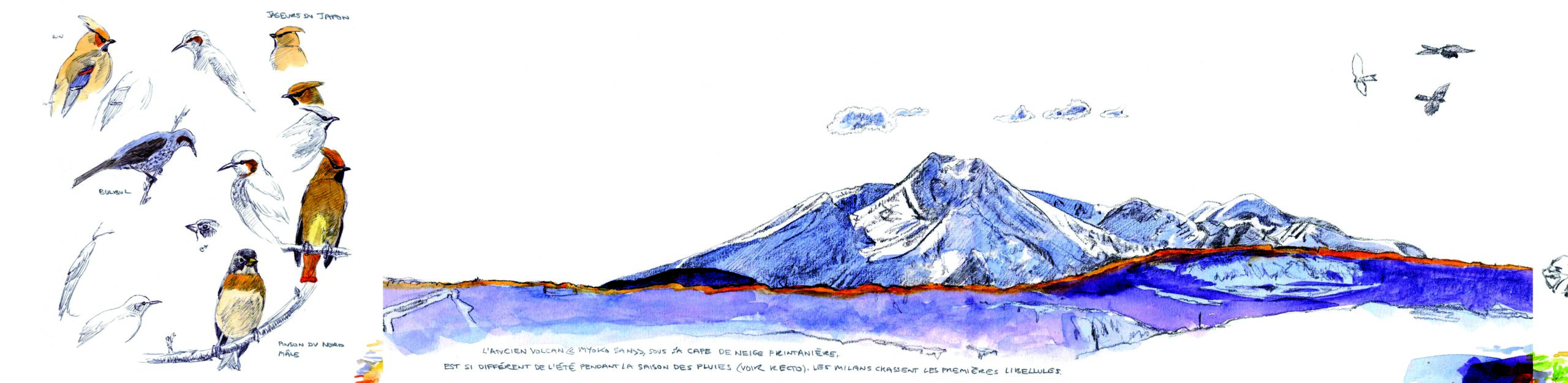 ASPARAGUS GREEN – Image 4