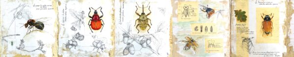 AUTOUR D'UN CHÊNE – Image 2