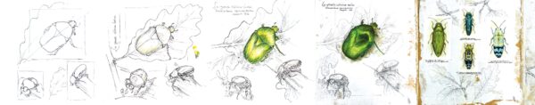 AUTOUR D'UN CHÊNE – Image 3